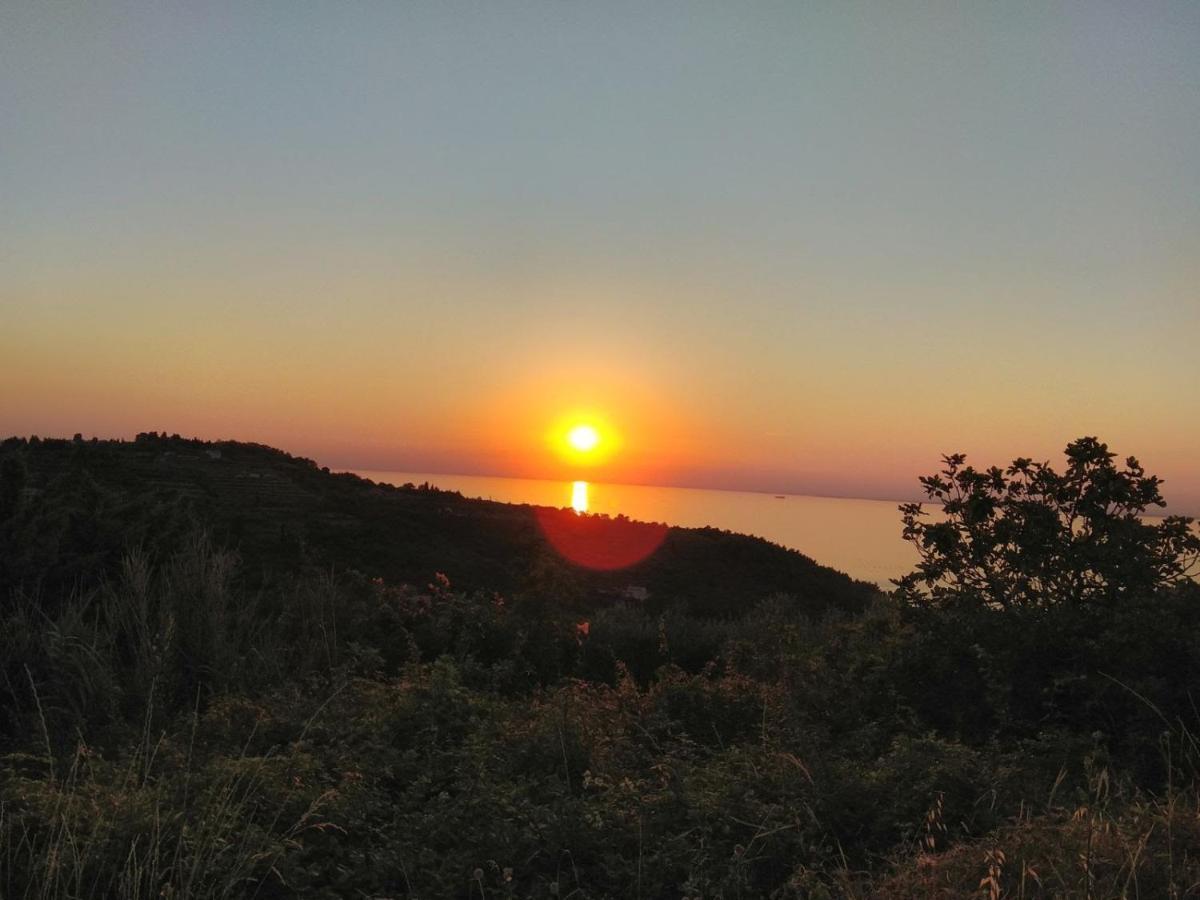 Apartma Ivan Portorož Dış mekan fotoğraf