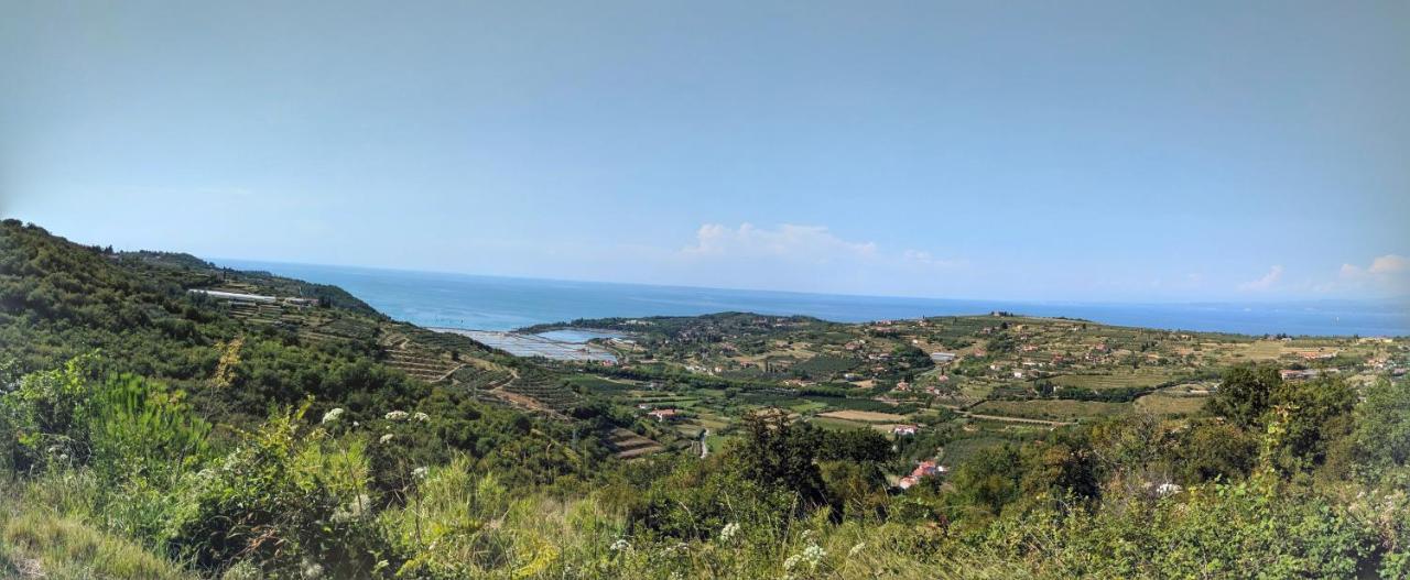 Apartma Ivan Portorož Dış mekan fotoğraf